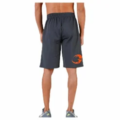 Pro mesh shorts Grey*GASP Best