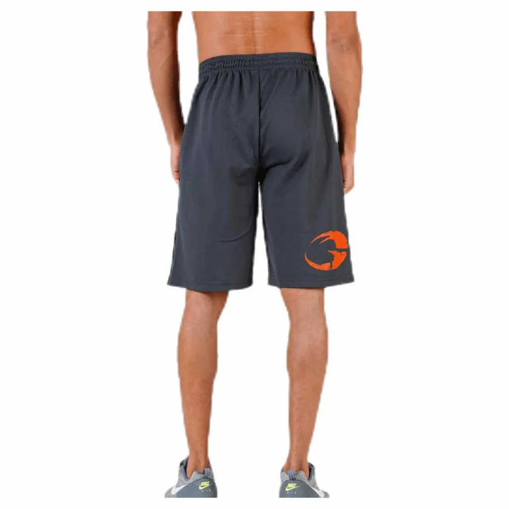Pro mesh shorts Grey*GASP Best
