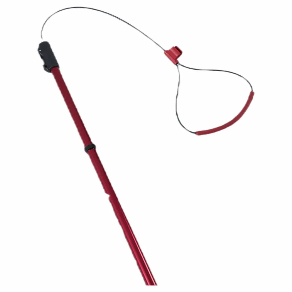 Black Diamond Quickdraw Probe Tour 240 Red Röd Clearance