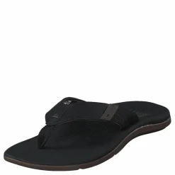Santa Ana Black*Reef
