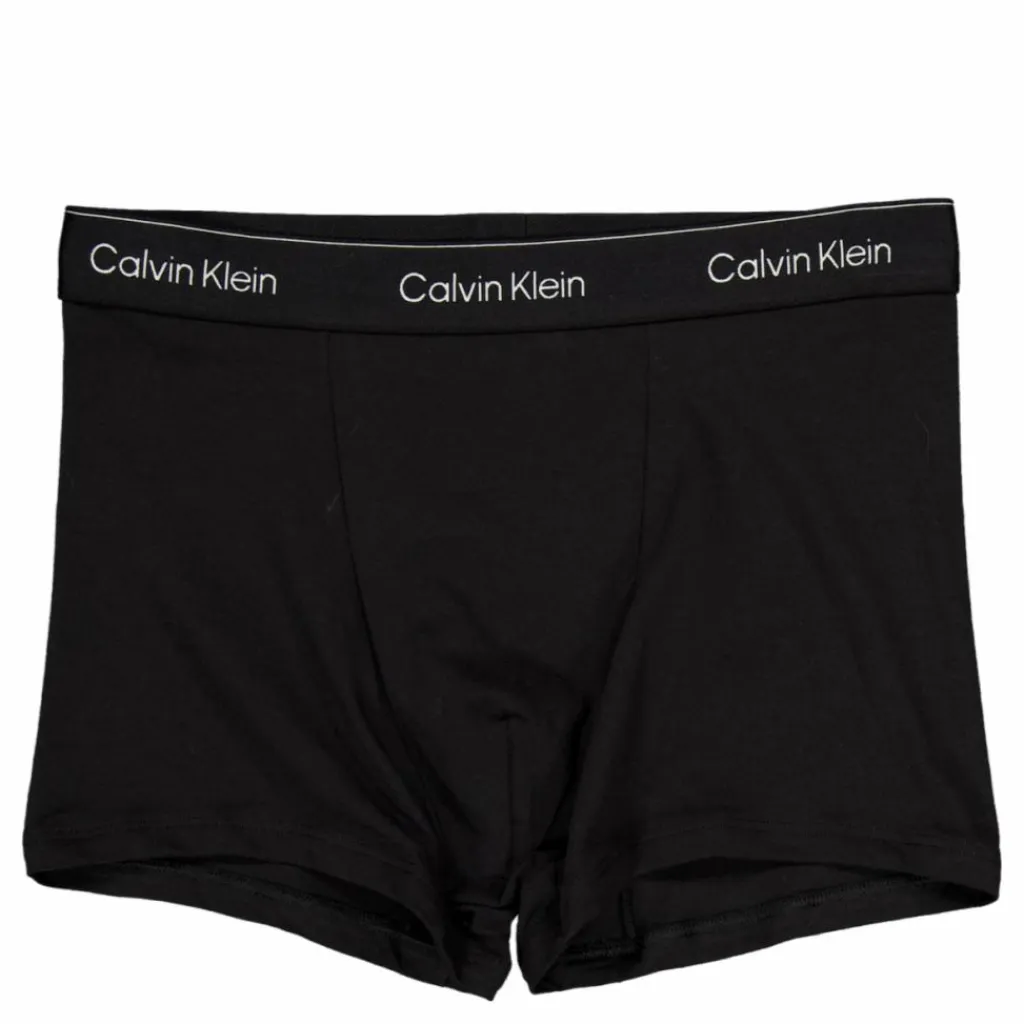 Relaxed Dart Trunk 3pk Blue*Calvin Klein New