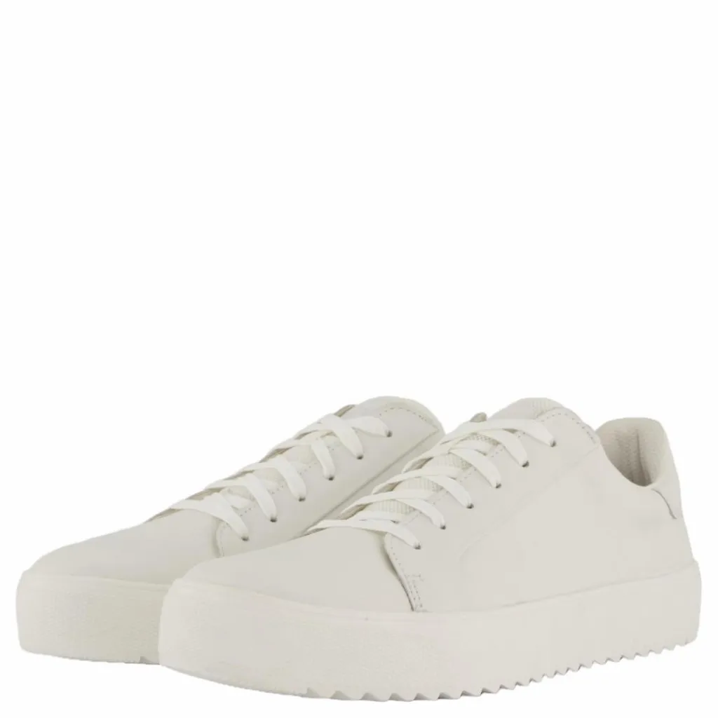 Rex Neapel*Polecat Outlet