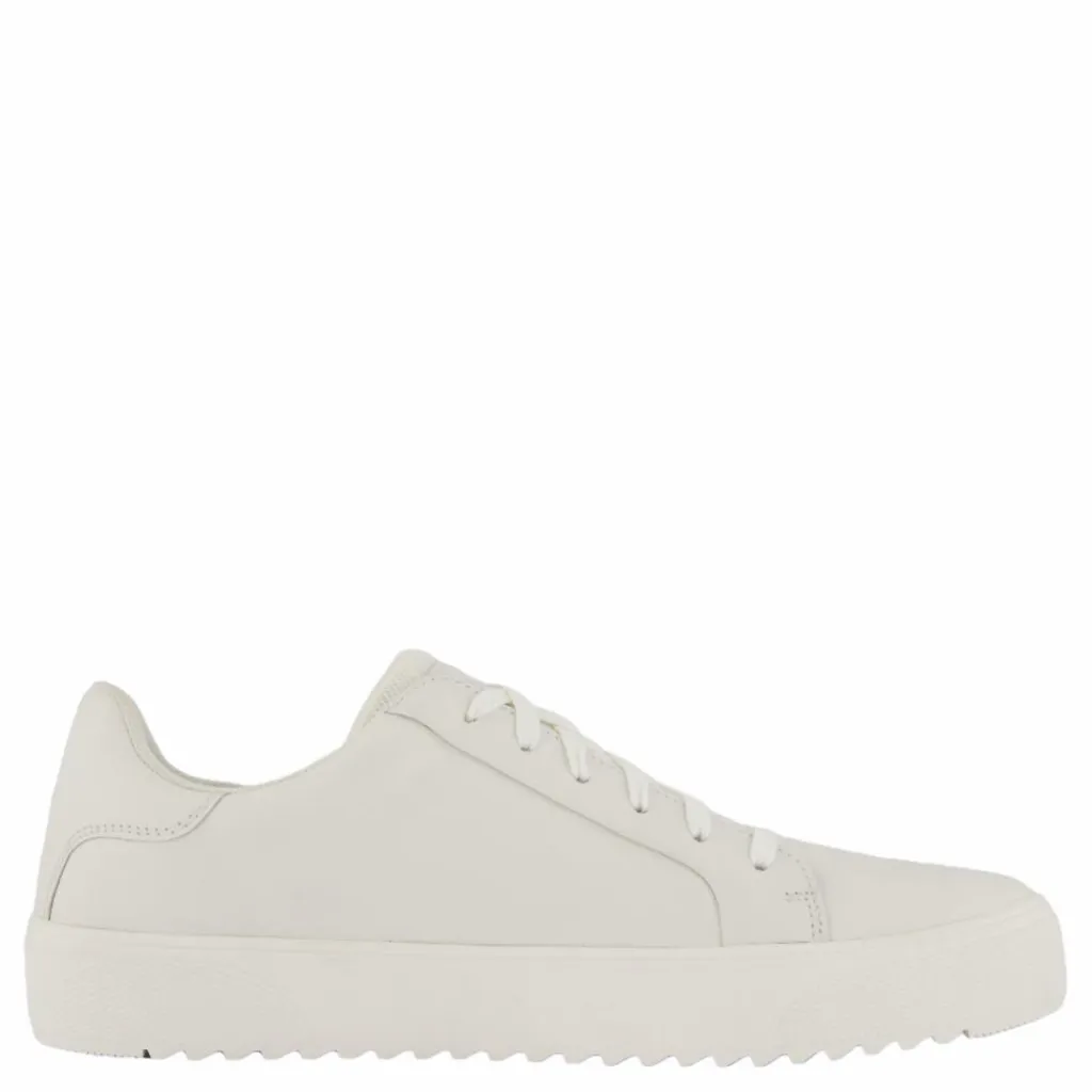 Rex Neapel*Polecat Outlet