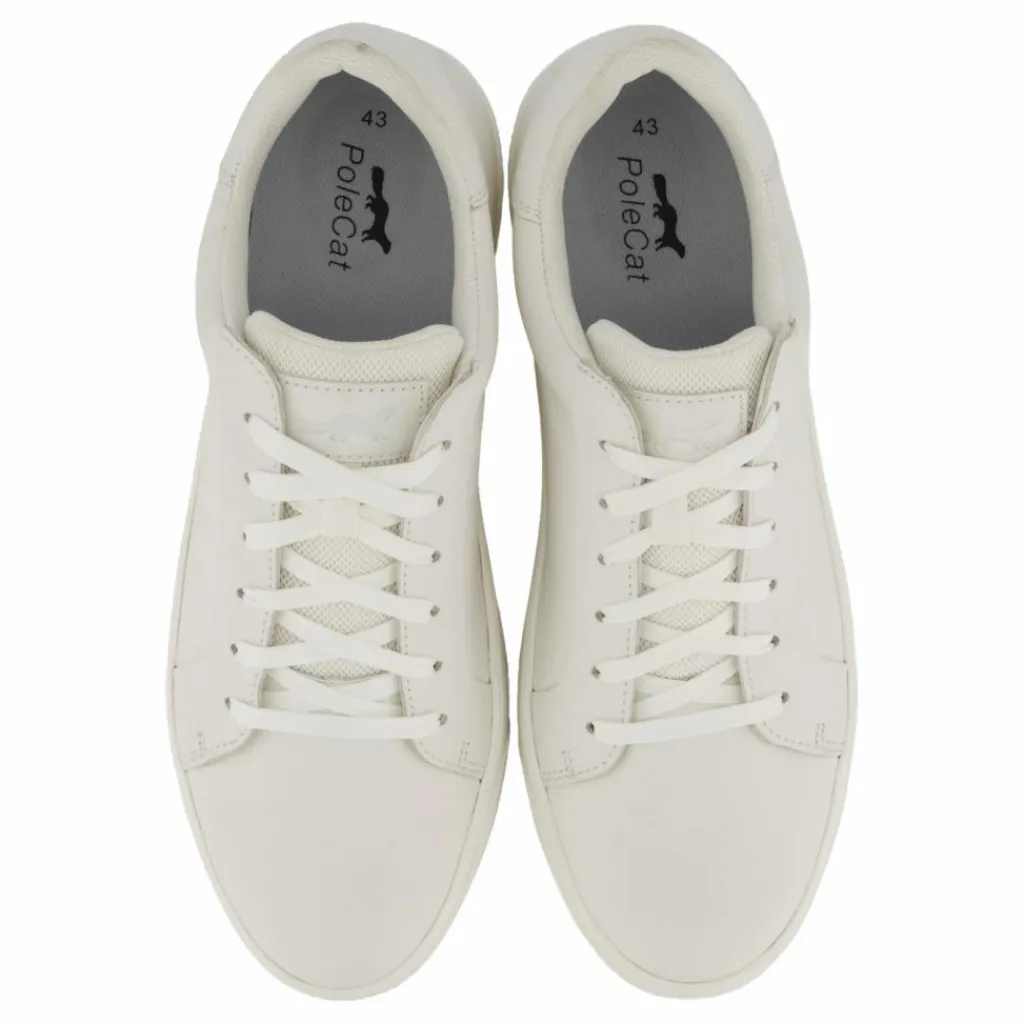 Rex Neapel*Polecat Outlet