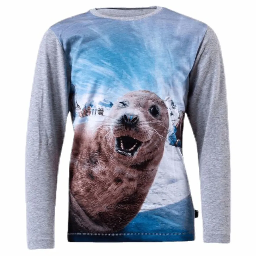 Rexol Seal Wink Grey*Molo