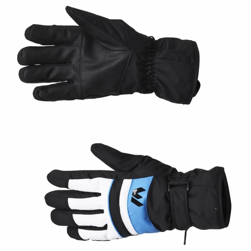 Whistler Rhett Ski Gloves Blue Blå Clearance