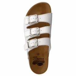 Rio WG AD White*Scholl Hot
