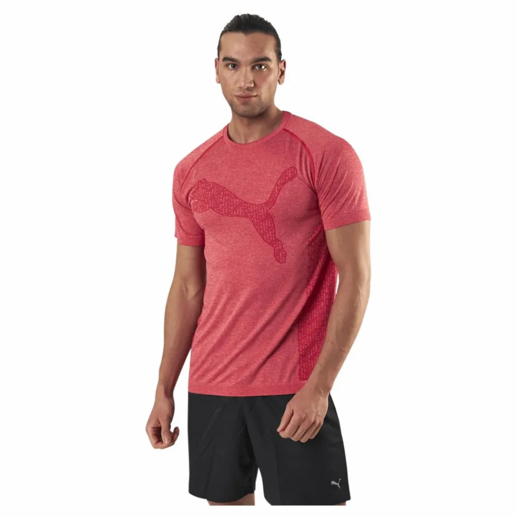 Puma RTG Evoknit Tee Red Rosa Sale