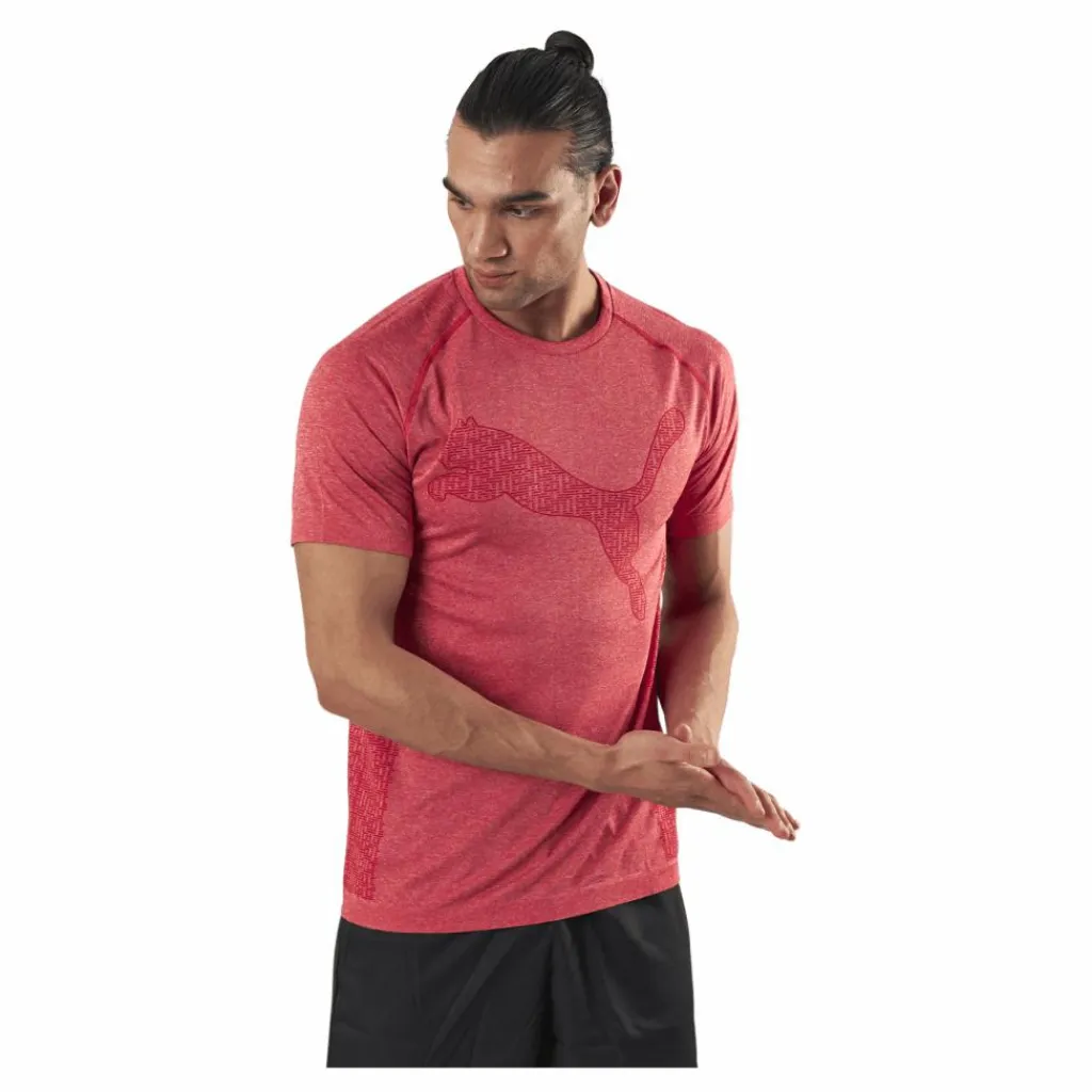 Puma RTG Evoknit Tee Red Rosa Sale