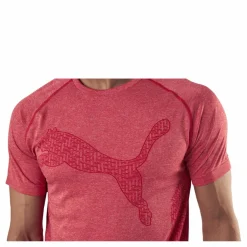 Puma RTG Evoknit Tee Red Rosa Sale