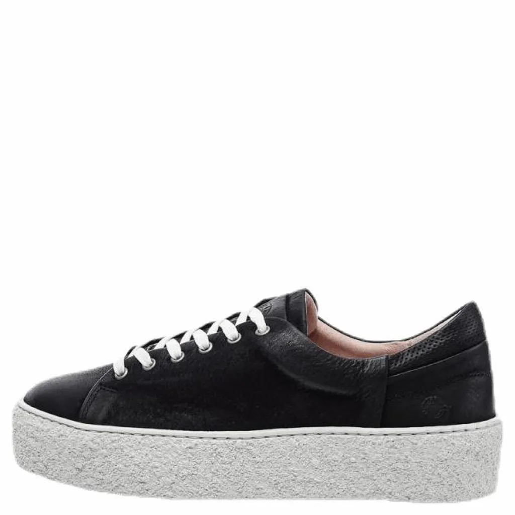 Sly Leather Shoe Black*Sneaky Steve Clearance
