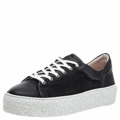 Sly Leather Shoe Black*Sneaky Steve Clearance