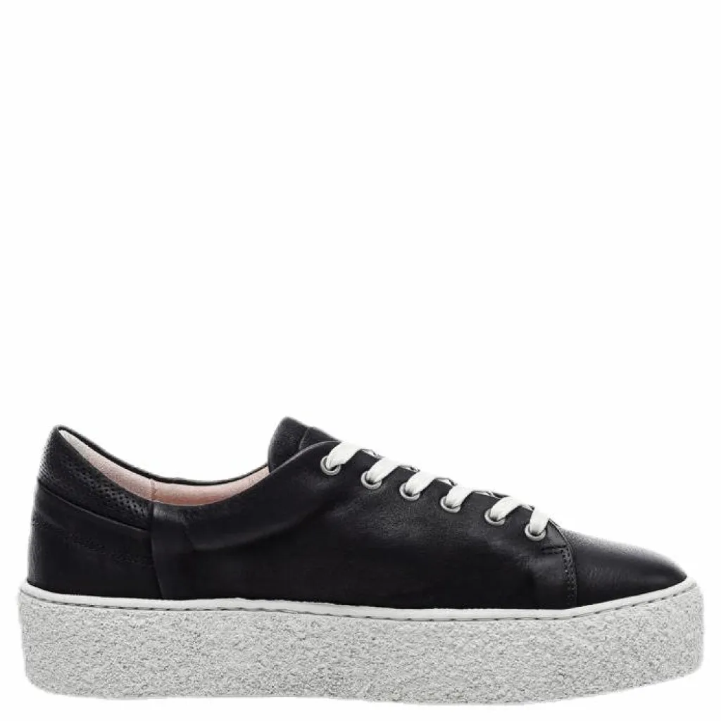 Sly Leather Shoe Black*Sneaky Steve Clearance