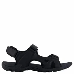 Spider Pro Black*Exani Online