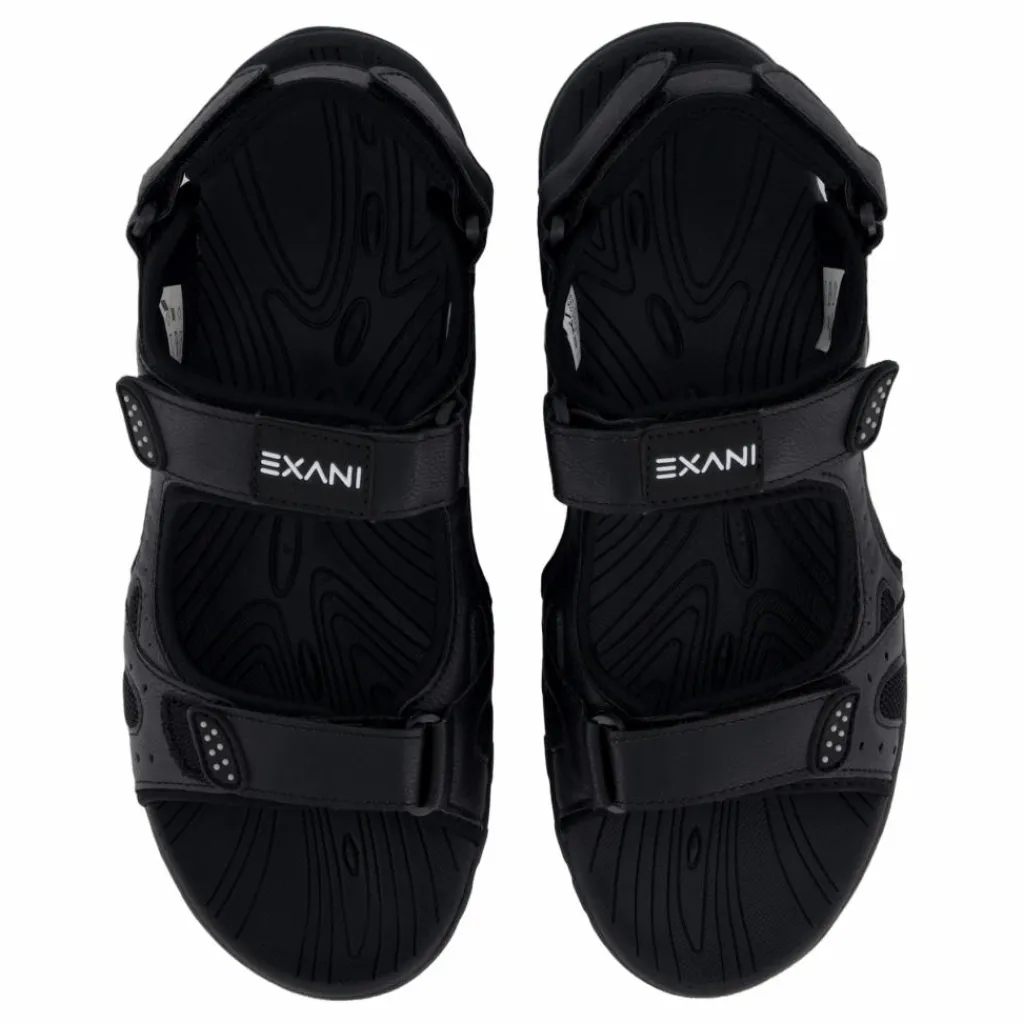 Spider Pro Black*Exani Online