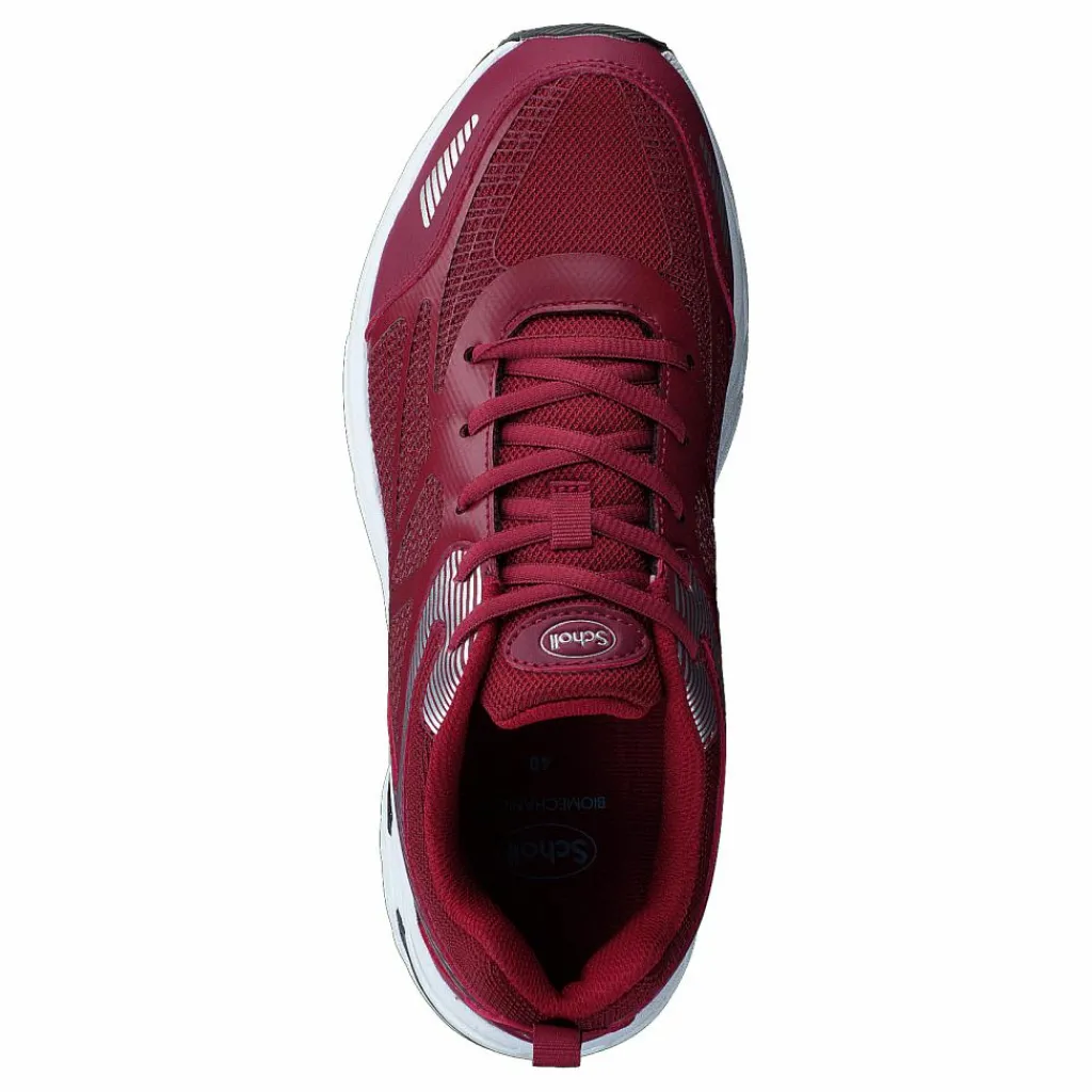 Sprinter Net Bordeaux*Scholl