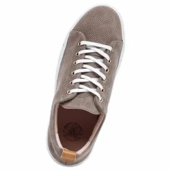 Sneaky Steve Stoked Low Suede Beige Online