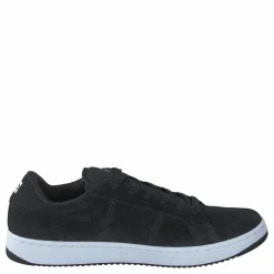 DC Shoes Striker Black/white Svart Discount