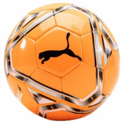 teamFINAL 21.6 MS Ball*Puma Hot
