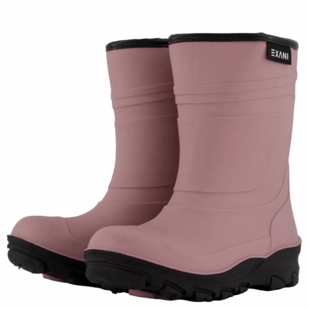 Exani Ted Jr Plum Rosa New