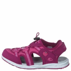 Viking Thrill Fuchsia/Pink Rosa Best