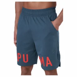 Puma Train Logo 9