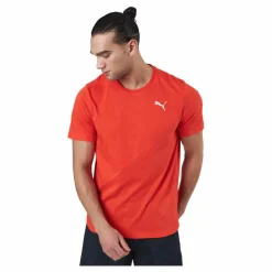 Puma Train Logo Ss Tee Cherry Tomato Röd