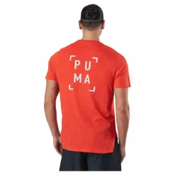 Puma Train Logo Ss Tee Cherry Tomato Röd