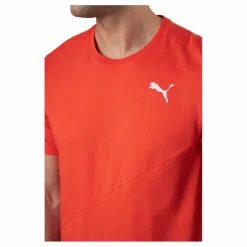 Puma Train Logo Ss Tee Cherry Tomato Röd