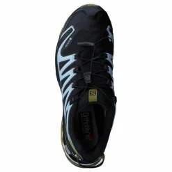 Salomon Xa Pro 3d V8 Gtx W Black/green Moss/zen Blue Svart Sale