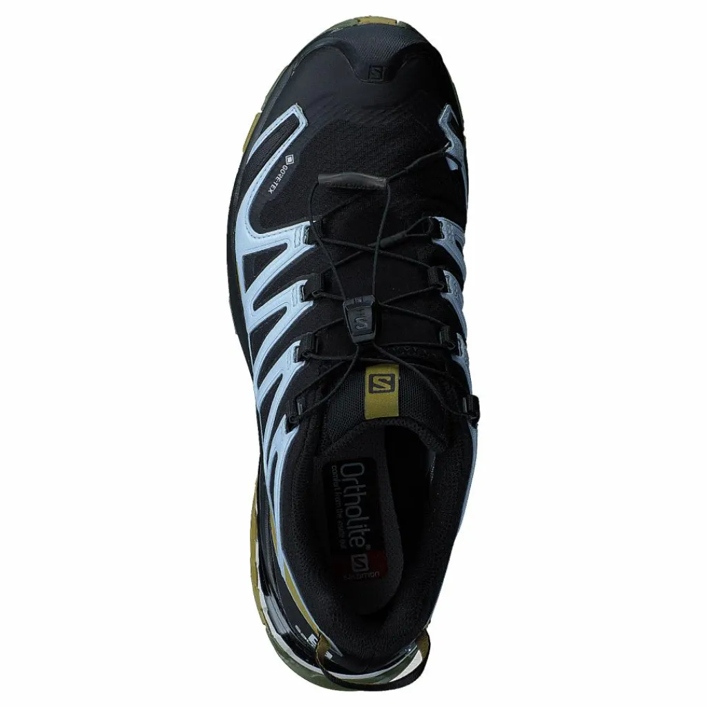 Salomon Xa Pro 3d V8 Gtx W Black/green Moss/zen Blue Svart Sale